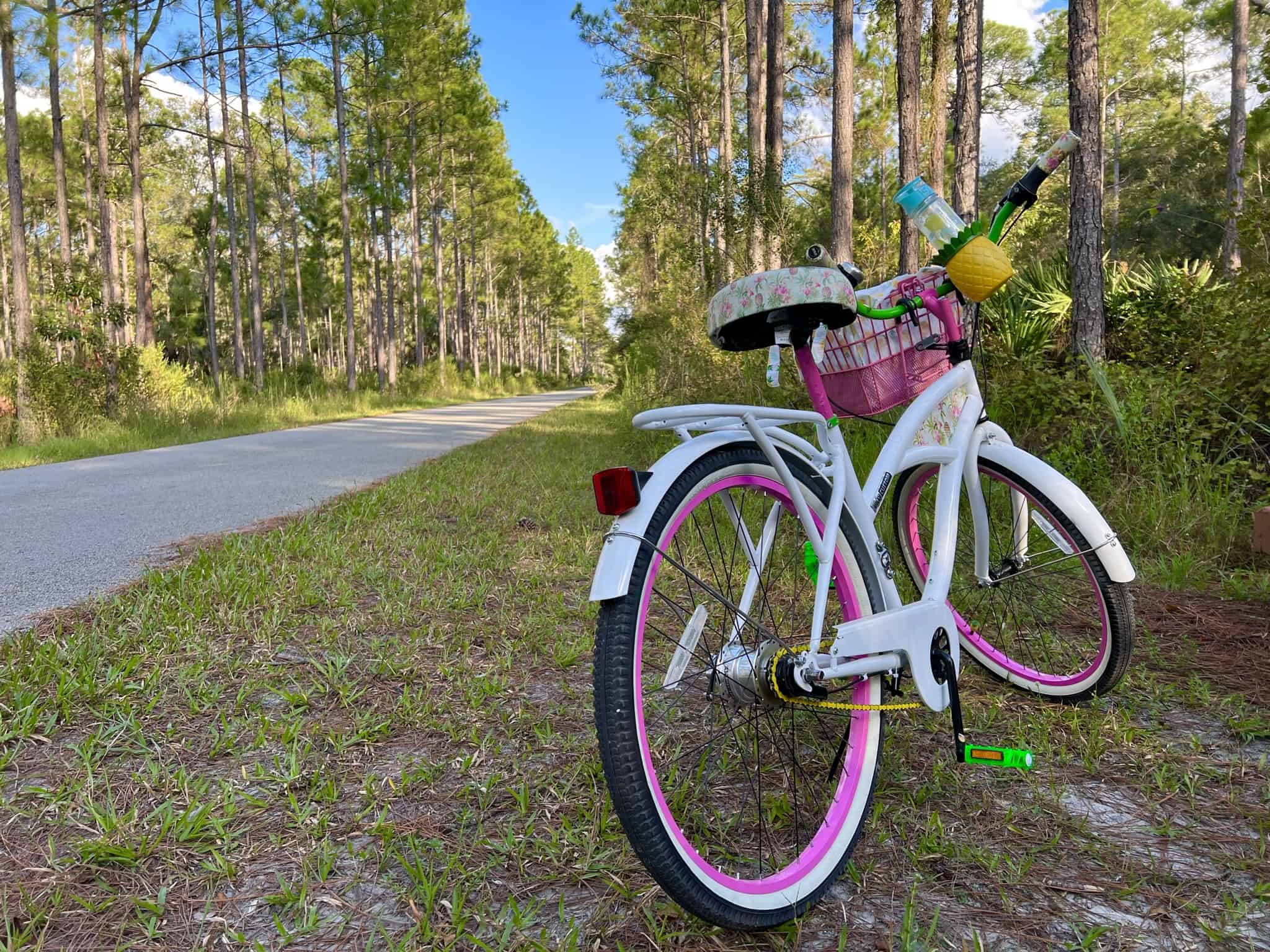 Fleurty Girl's bicycle along a recreation trail