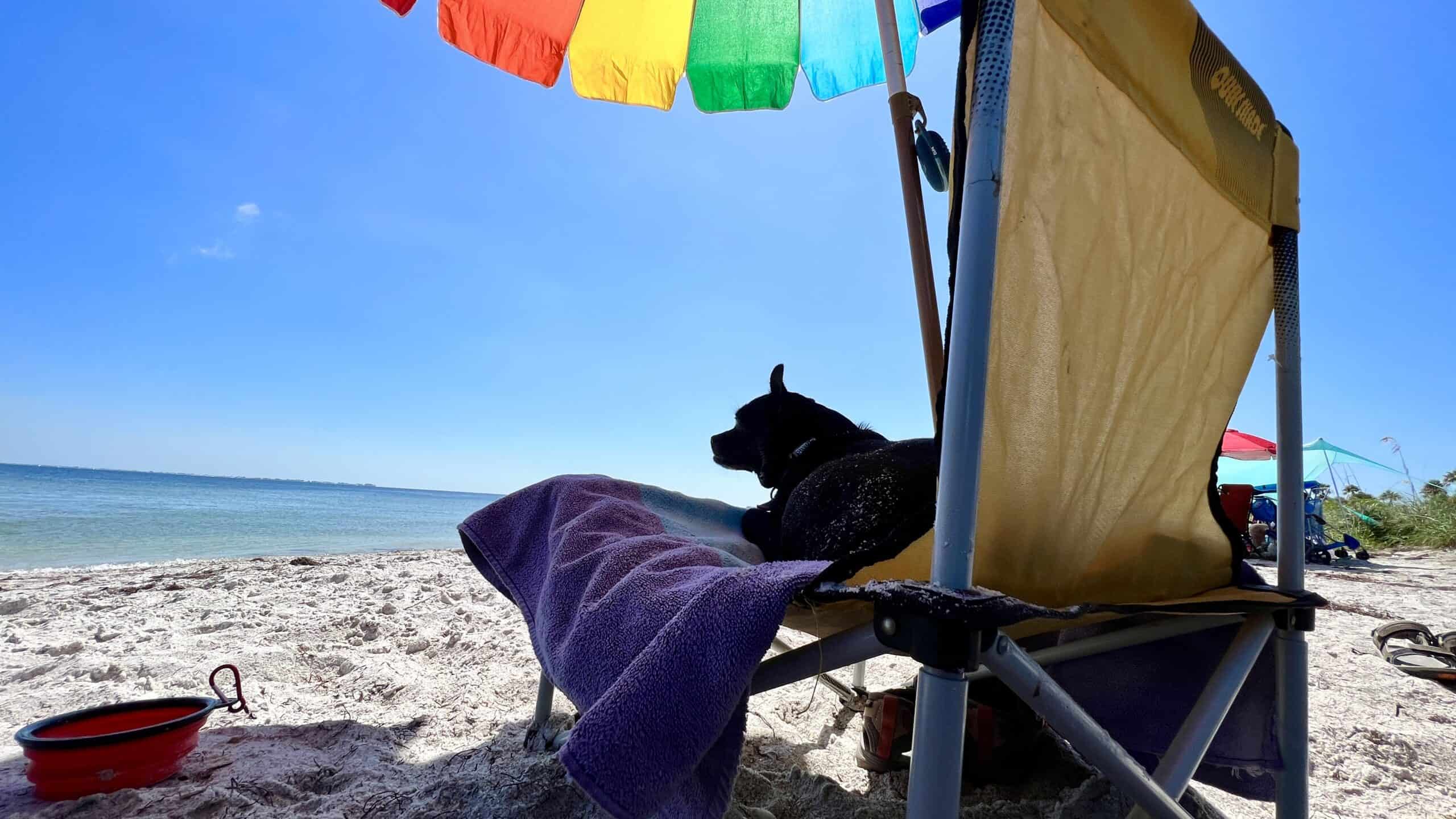 Avoiding sunburn at the beach under a beach umbrella