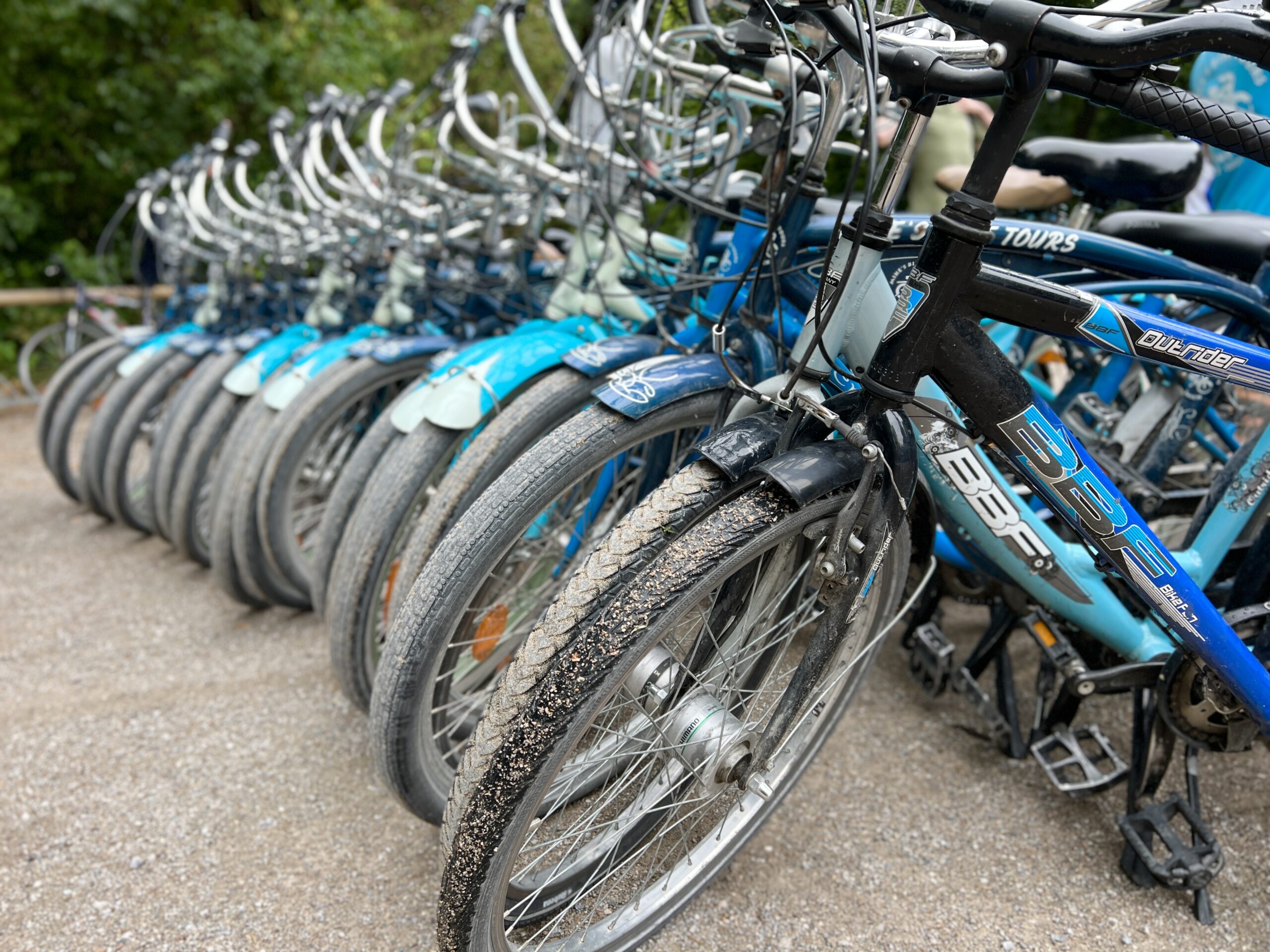 A row of bikes to rent in St. Petersburg