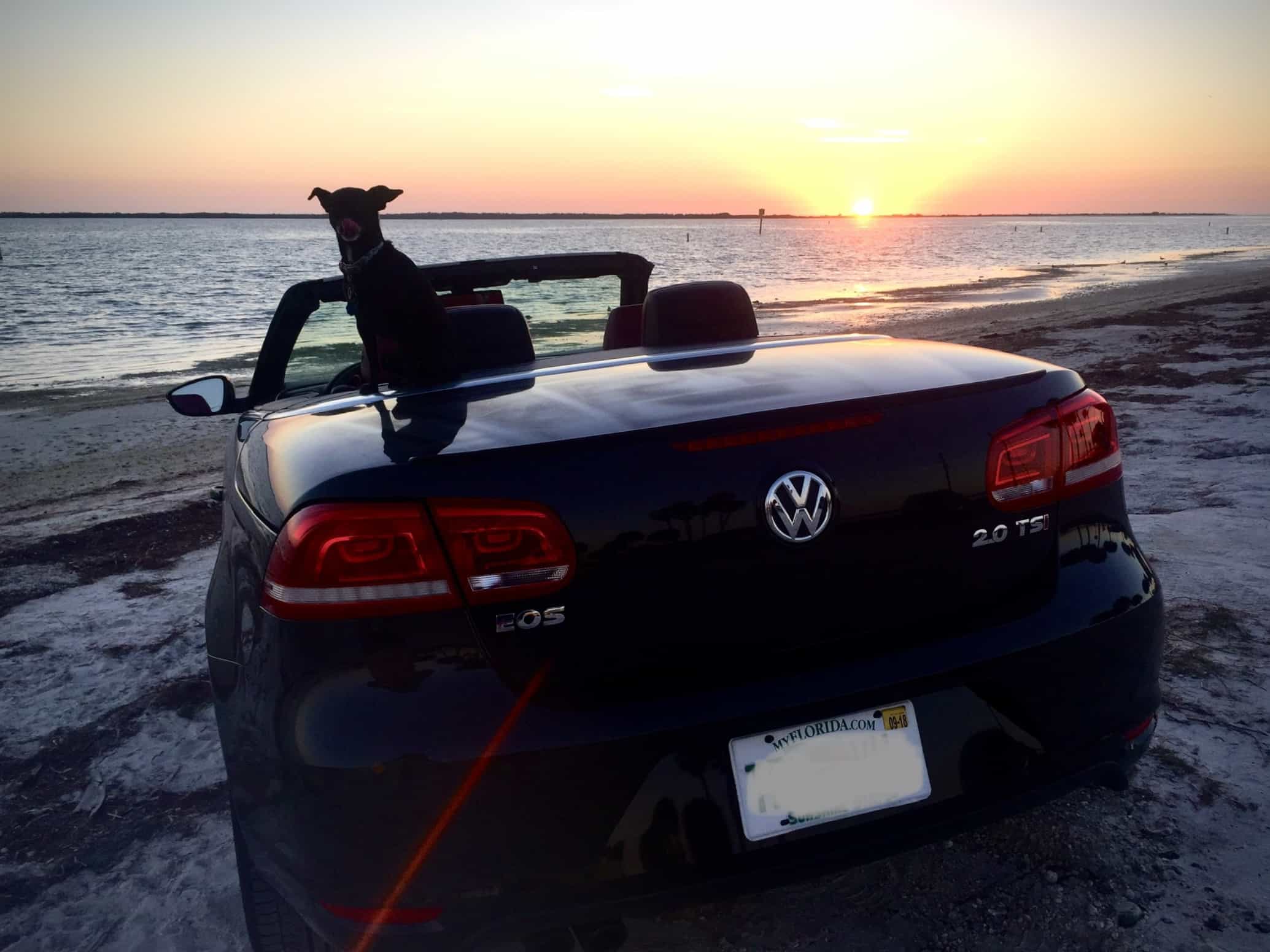 The sunset at the Dunedin Causeway. 