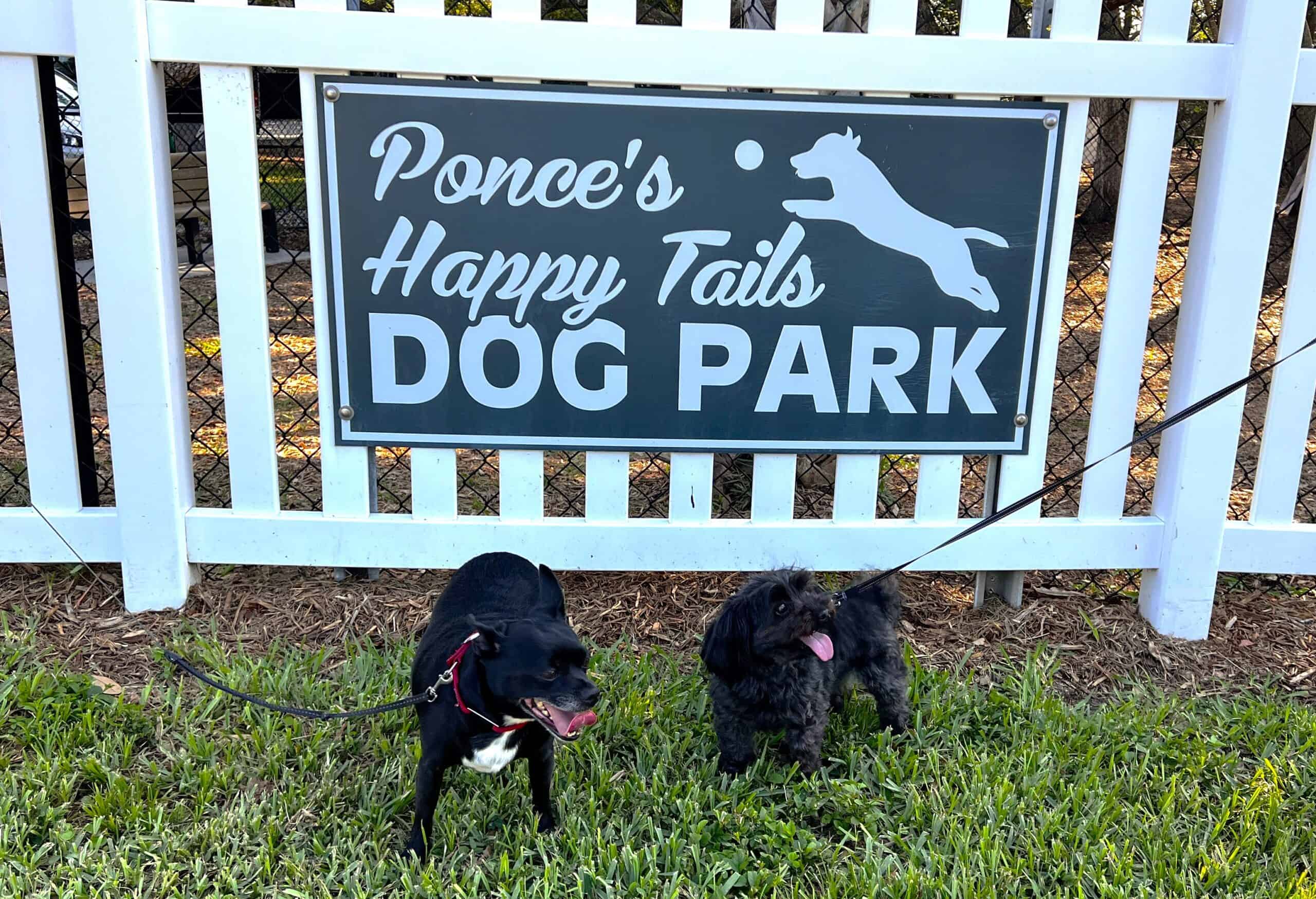 Two cute pups at the Ponce dog park