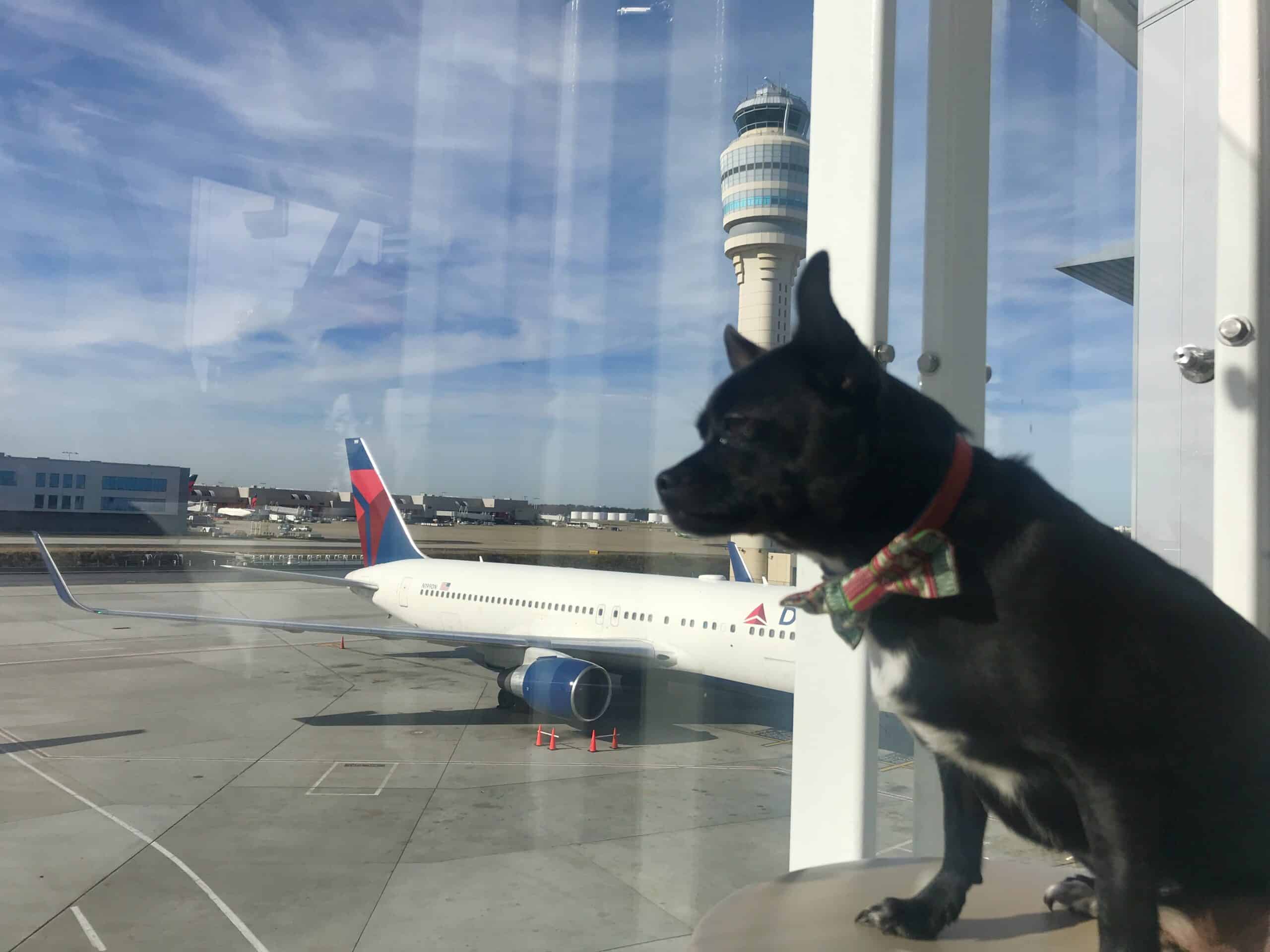 A Delta aircraft at the gate in Atlanta.