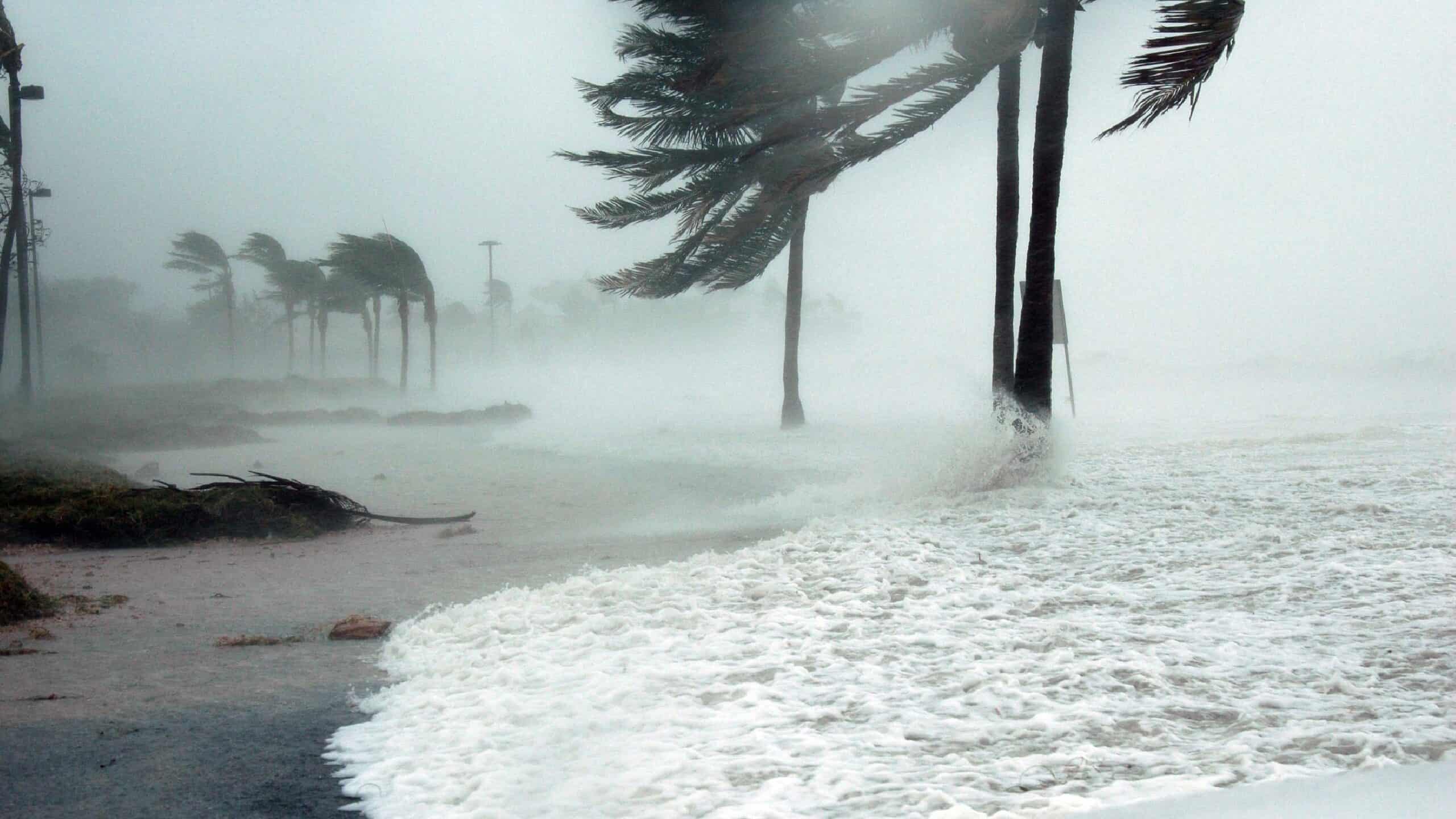 Hurricanes In Tampa Bay