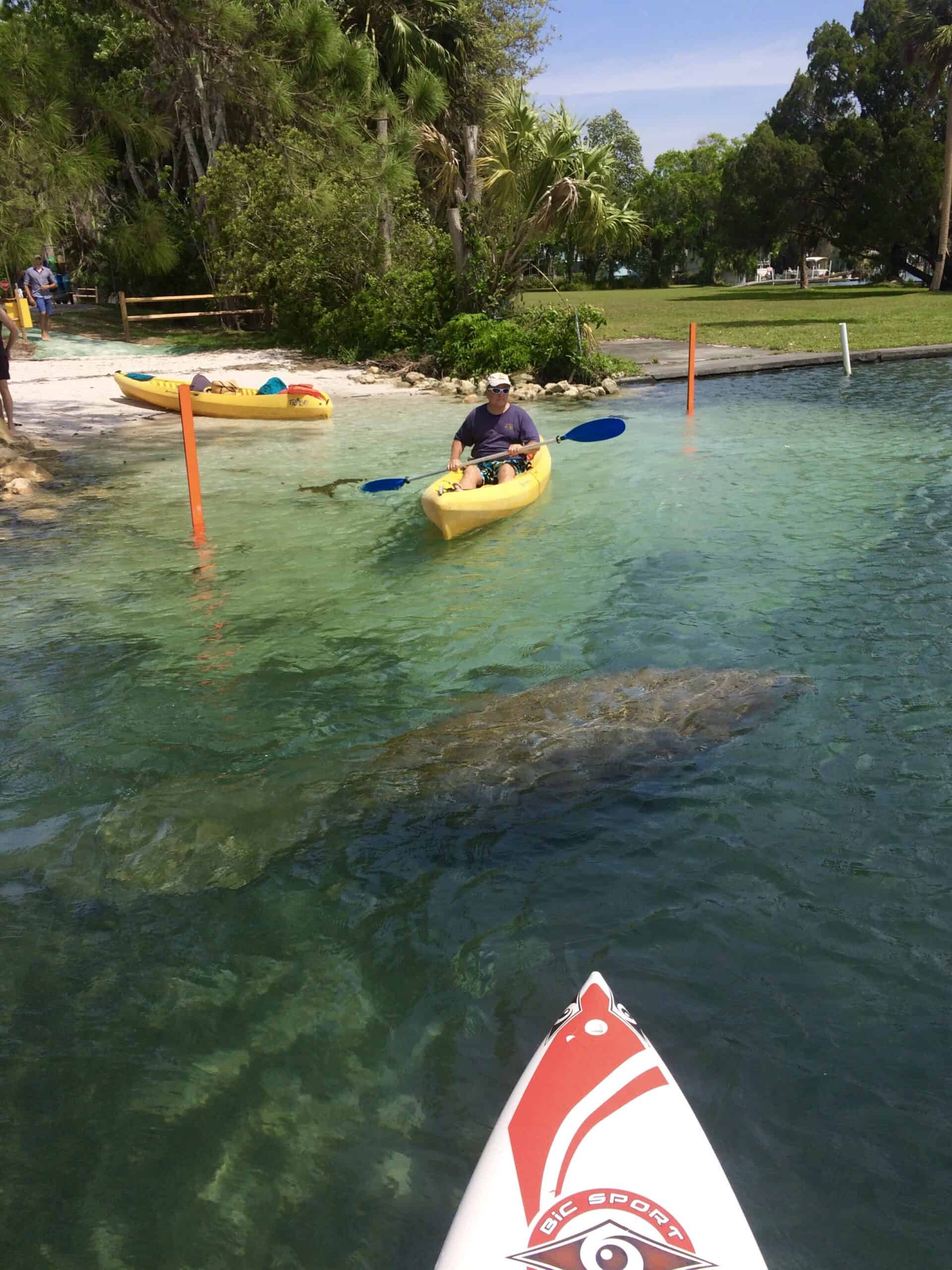 FleurtyGuy at the Hunter Springs Park launch area hidden gems in Crystal river