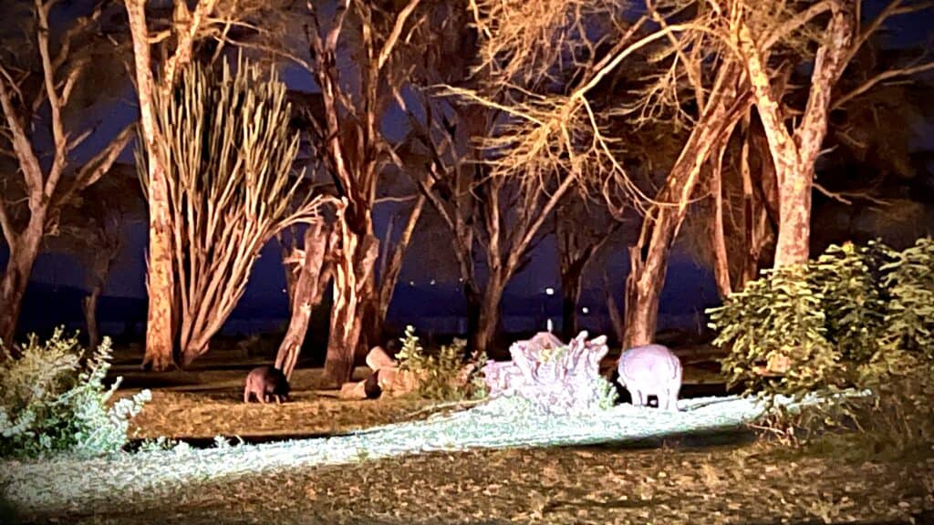 African Safari Supply Suggestions